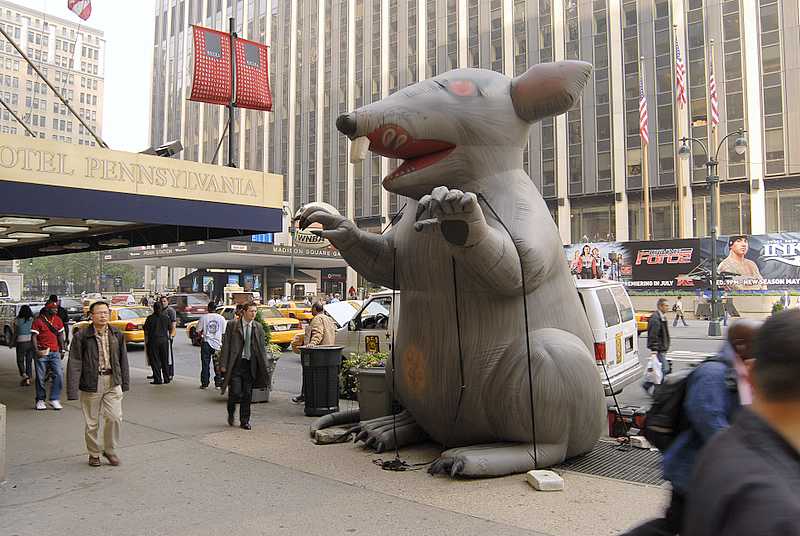 ratos infláveis em nova york