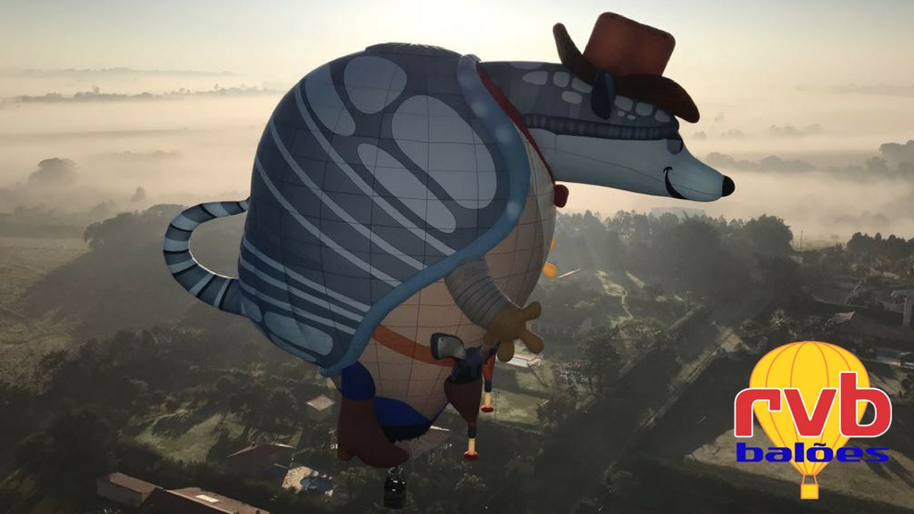 special shape Armadillo