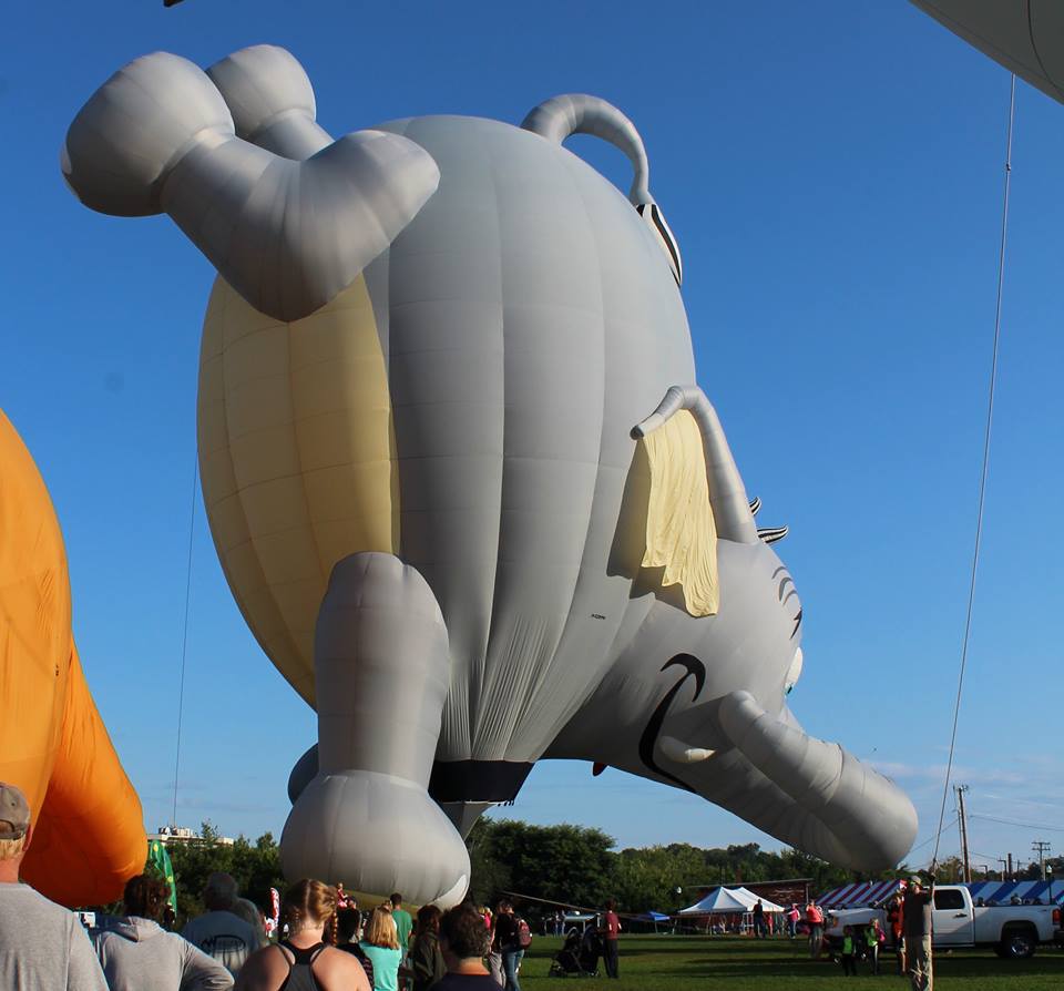 Speciais shapes fabricados pela RVB participam de evento nos EUA