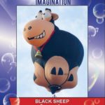 Maior festival de balonismo do mundo contará com 10 balões fabricados pela RVB