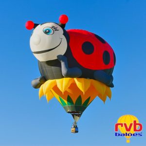 voo cativo special shape Joaninha