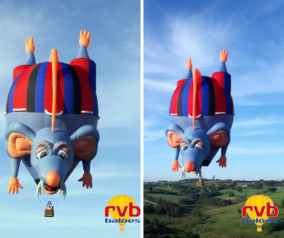 “Rat Cheese” é o primeiro special shape fabricado pela RVB em 2018