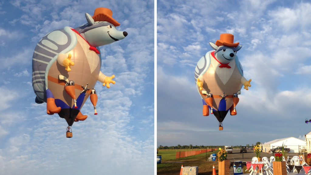 Special shape “Armadillo” fez sucesso em festival de balonismo no Canadá