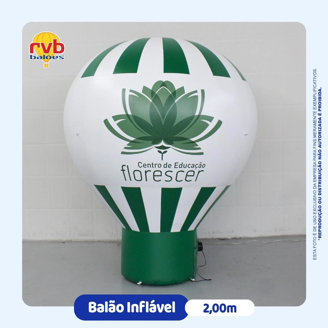 Balao Inflavel Florescer Educacao Educacao