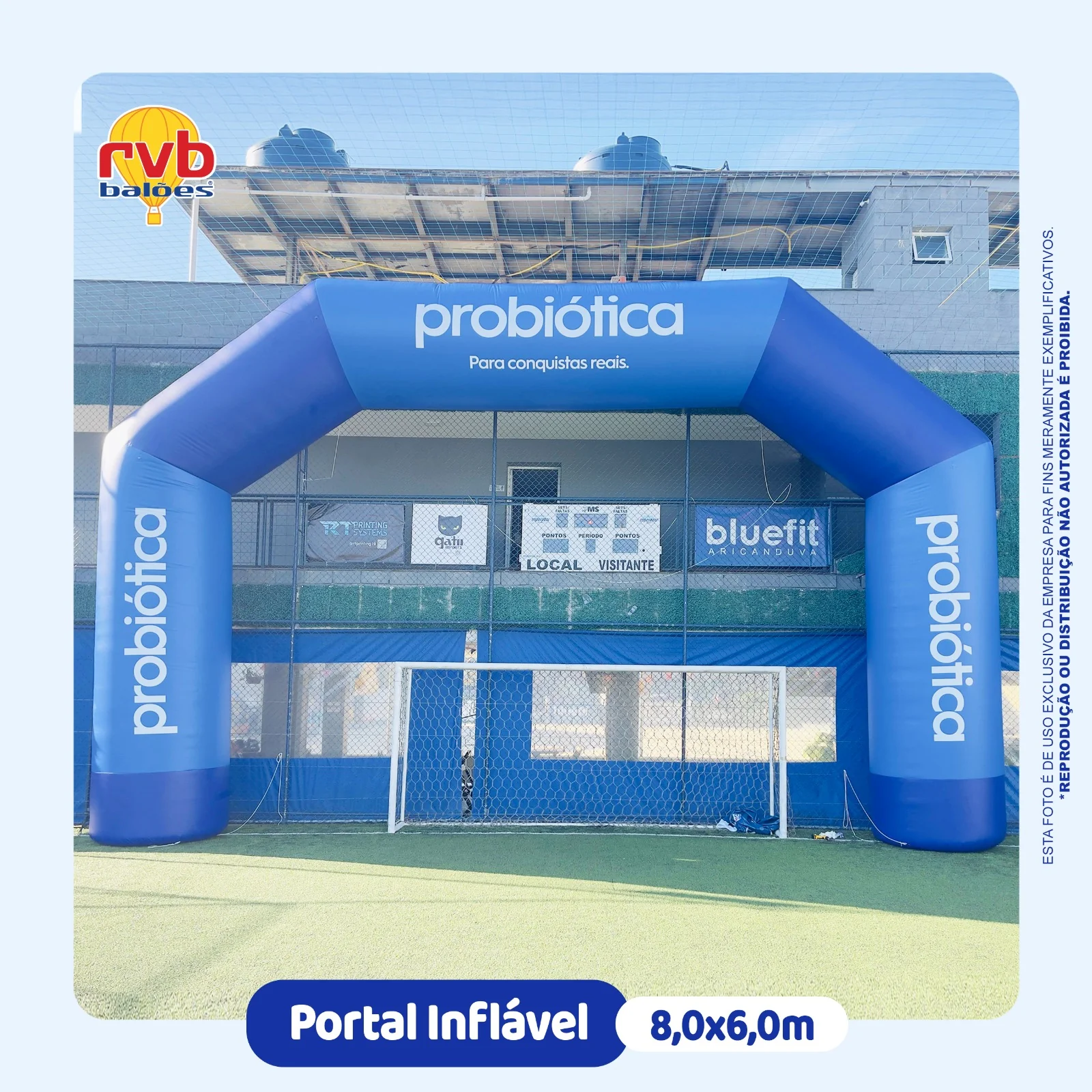 Portal Inflavel Probiotica Suplementos Saude